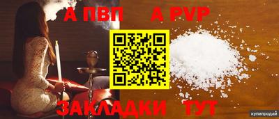 кокс Гай