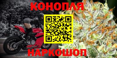 кокс Гай
